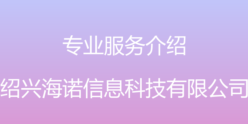 专业服务介绍 - 绍兴海诺信息科技有限公司