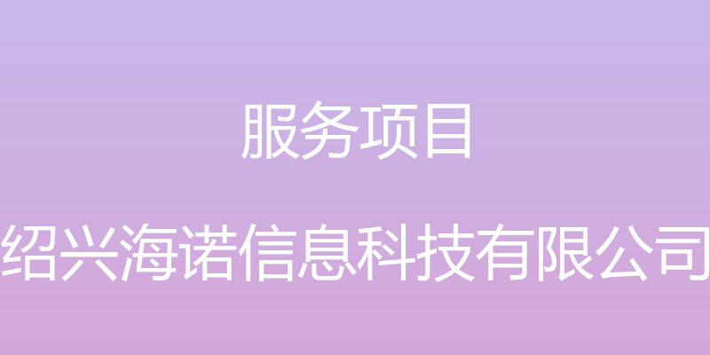 服务项目 - 绍兴海诺信息科技有限公司